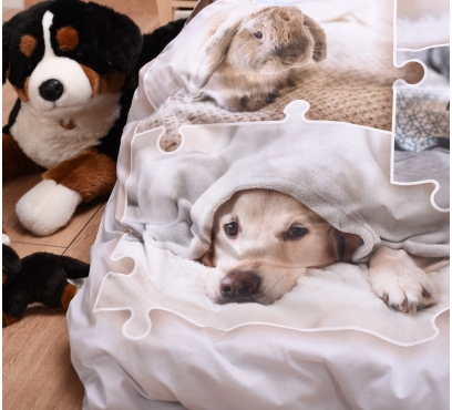 Obrazová posteľná súprava s motívom MAZNÁČIKOVIA (4)