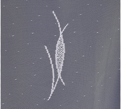 Hotová záclona žakárového typu (2)