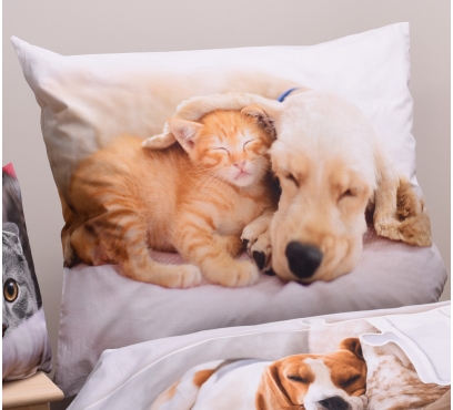 Obrazová posteľná súprava s motívom MAZNÁČIKOVIA (1)